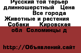 Русский той-терьер длинношерстный › Цена ­ 7 000 - Все города Животные и растения » Собаки   . Кировская обл.,Соломинцы д.
